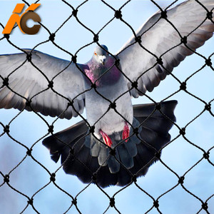 Nhiệm Vụ Nặng Nề Nhựa HDPE Polythene 19Mm 3/4 ''Lưới Bồ Câu Net Chống Bird Lưới Bảo Vệ Rau Và Trái Cây - Product Image 1