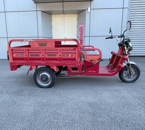 รถสามล้อบรรทุกไฟฟ้า 60V 1000W ขายดีที่สุด รถมอเตอร์ไซค์บรรทุกแบบเทท้าย 3 ล้อ สำหรับขนส่งสินค้า ได้รับการรับรองมาตรฐาน EEC สำหรับใช้โดยผู้โดยสาร - Product Image 2