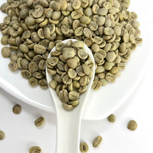 Grains de café vert Arabica fort du Vietnam S18 Marque privée OEM à humidité contrôlée de qualité propre pour les acheteurs B2B - Product Image 2