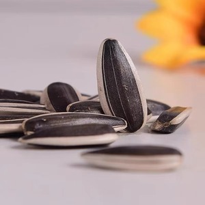 Wholesale Sunflower <b>Seeds</b> in Bags High Quality <b>Seeds</b> Bulk Supply - Product Image 2