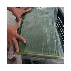 Hojas de Plátano Frescas Envasadas al Vacío, Tamaño Personalizado, para Exportación y Catering a Granel - Product Image 1