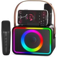 Machine de karaoké avec 2 microphones, enceinte Bluetooth portable avec poignée, lumière LED RGB pour adultes, enfants, fêtes, scène, cadeaux