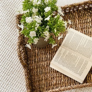 Bandeja cuadrada de algas marinas seleccionada superior Bandeja de almacenamiento de algas marinas naturales artesanales de Vietnam - Product Image 2