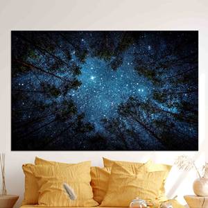 Impression sur toile élégante du ciel étoilé : décoration murale vue nocturne, toile enveloppée - Product Image 1