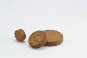 100% discos de cocopeat ecológicos biodegradables orgánicos naturales hechos en Sri Lanka plántulas de horticultura de agricultura sostenible - Product Image 3
