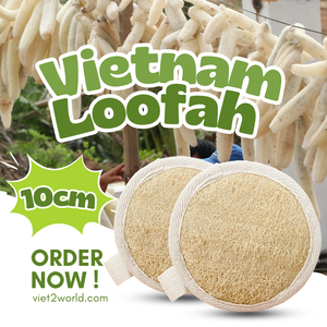 Brosse faciale en éponge naturelle Loofah et épurateur de douche pour le bain de spa corporel fait à la main au Viet Nam - Product Image 1