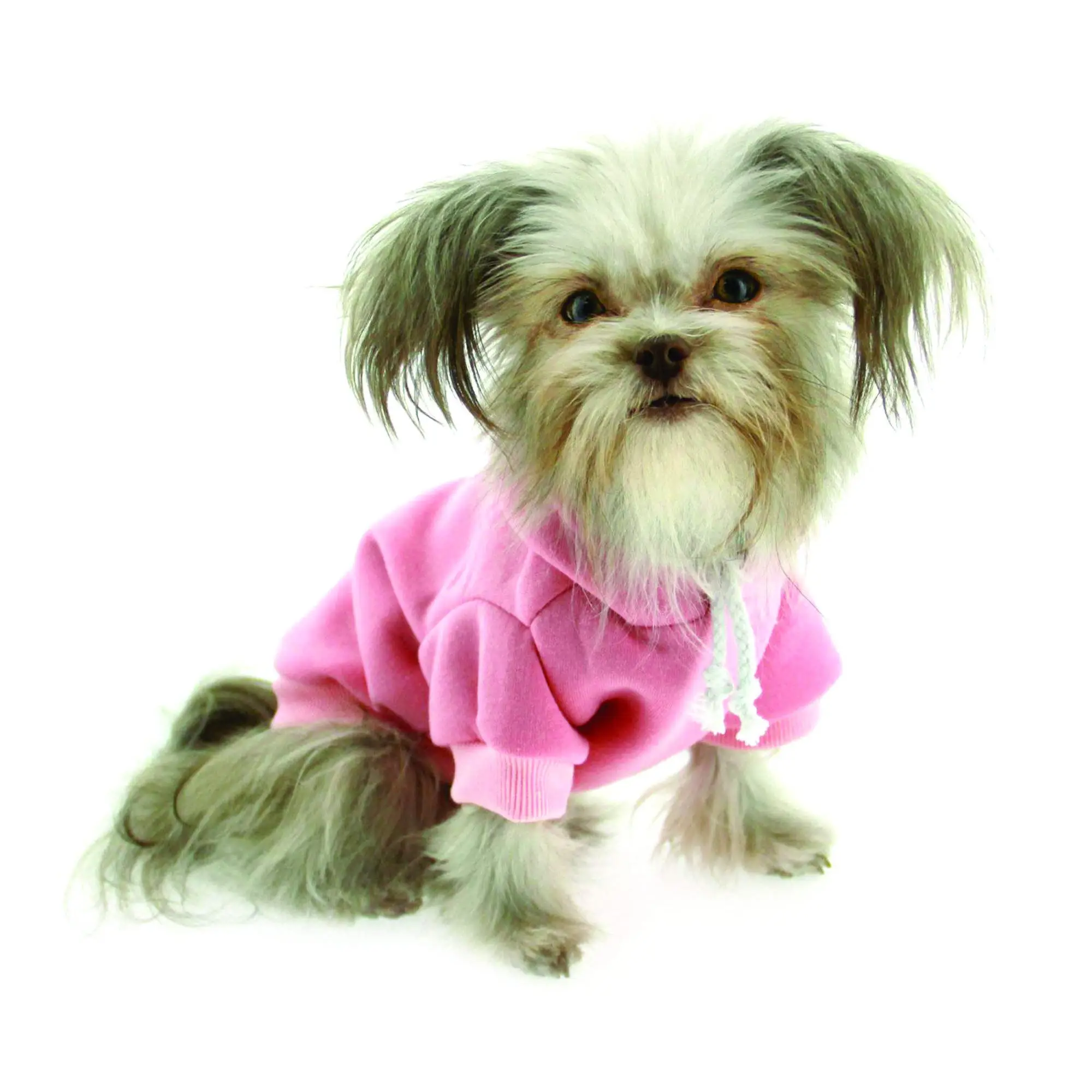 Venta al por mayor de lujo mascota disfraz perro Sudadera con capucha suéter ropa gato perro Otoño Invierno suéter polar mascota chaqueta perro