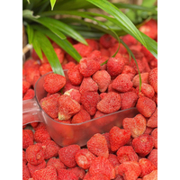 Hete Verkoop Blauwe Lotus Gevriesdroogde Aardbeien Gevriesdroogde Aardbei Plezierige Snack Met Verse Bessenkleur