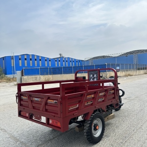 COREY 2026 Véhicules à trois roues/Tuk-Tuks 250cc à succès en Chine, vente directe d'usine - Product Image 4