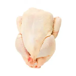 Rivenditore all'ingrosso e fornitore di pollo congelato intero congelato