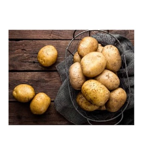 Compre papas a granel recién cosechadas para la venta disponible para satisfacer sus necesidades comerciales al por mayor hoy - Product Image 4