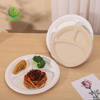 SUMKOKA Assiettes jetables 100% écologiques en bagasse de canne à sucre, compostables et biodégradables