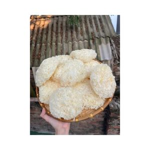 Tremella Fuciformis (Hongo de las Nieves/Oreja de Nieve) Seca Entera |   Setas Veganas de Cocción Instantánea |   Color Blanco |   Procesado por FD |   12-15 - Product Image 2