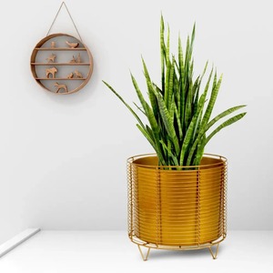 Modern <b>Raised</b> Metal <b>Planter</b> with Smooth Powder Coated Grey Finishing Perfect for Compact Living Room Plant Styling - Product Image 6