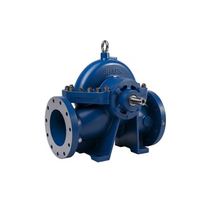 Bomba de Carcasa Dividida SHSCP Ecológica OEM, Bomba de Agua Horizontal Confiable para Uso Municipal y de Riego Disponible para la Venta - Product Image 1