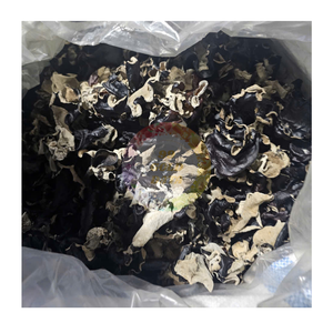 Hongo negro seco de grado superior, seta de oreja de madera, corte completo, picado, fabricante de Vietnam, Exportación al por mayor en todo el mundo - Product Image 1