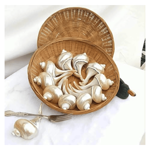 Seashell <b>Chopstick</b> Rest Natural seashell <b>chopstick</b> rest for restaurant tableware sets and home dining Vietnam - Product Image 1