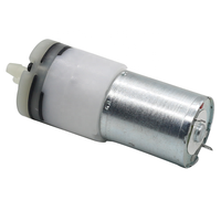 Pompe auto-amorçante mini 12V WP-370 pour climatisation, pompe à eau, arrosage de jardin