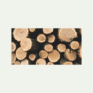 Distribuidor mayorista de troncos de abeto secados al horno para leña y calefacción - Product Image 2