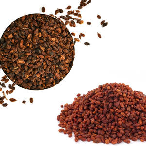 Bayas de espino amarillo | Marcas ecológicas de cosecha para la salud - Product Image 3