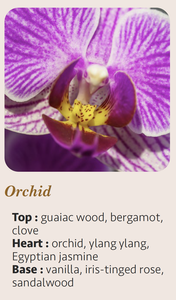 เทียนหอมอโรมาเธอราพีกลิ่นกล้วยไม้ ขนาด 15 ซล. สไตล์โมเดิร์นสุดหรู ทำด้วยมือ พร้อมโลโก้สั่งทำพิเศษ ผลิตจากขี้ผึ้งผสม บรรจุในกระบอกทรงกระบอก ผลิตในฝรั่งเศส - Product Image 5