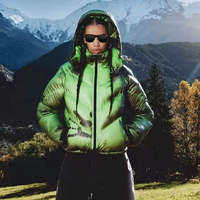 Veste matelassée en toile thermoréactive pour homme OEM, légère, chaude, imperméable, respirante, coupe-vent, impression personnalisée