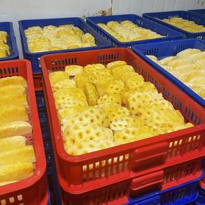 Ananas surgelé de qualité supérieure Vietnam Goût naturel frais Bonnes offres - Product Image 6