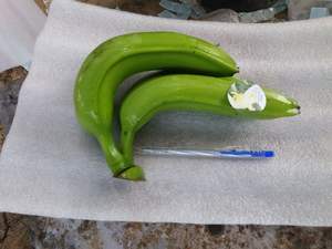 Vietnam Cavendish Bananes Saveur Douce Meilleur Prix de Gros pour l'Exportation - Product Image 4