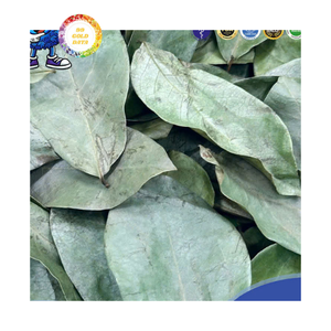 Feuilles de Graviola séchées du Vietnam, feuilles de corossol en vrac, export, fournisseur commercial de feuilles de corossol séchées - Product Image 5