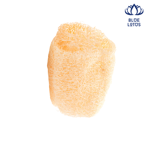 Fabriqué au Viet Nam avec 100% éponges de cuisine naturelles éponge de luffa aux fruits et légumes biologiques grand tampon à récurer personnalisé - Product Image 1