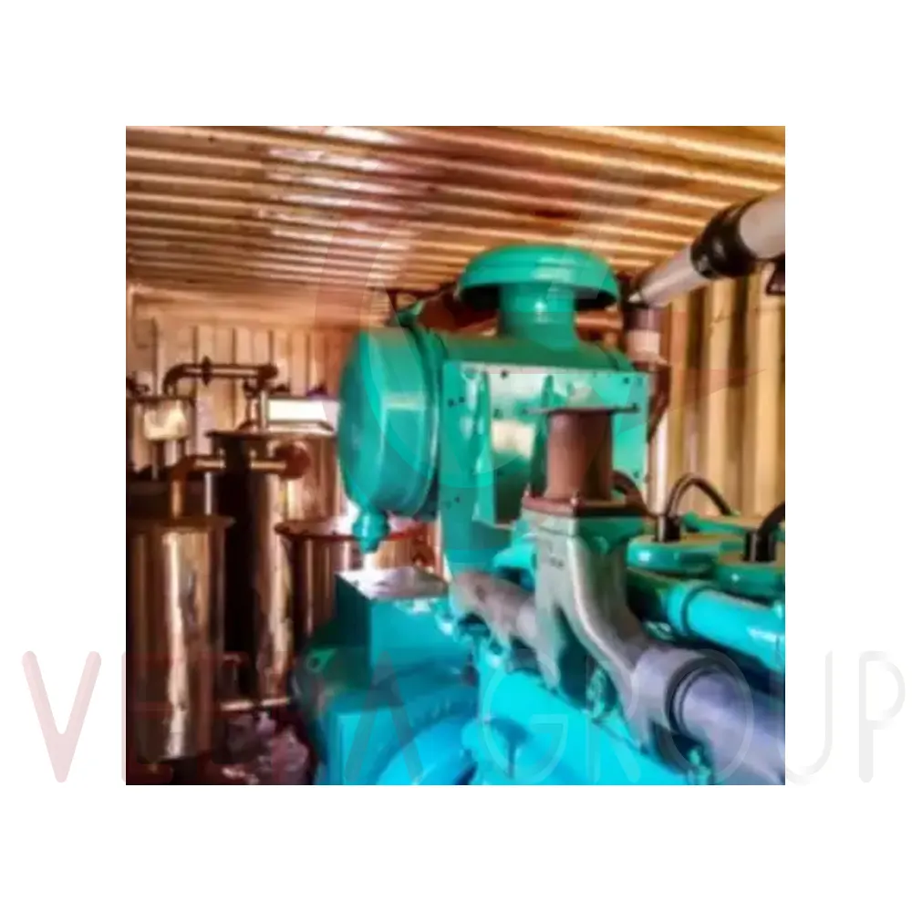 Macchine gassificatrici VEERA G150 fabbricate moderne per qualsiasi fabbisogno di riscaldamento o produzione di Gas