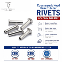 Rivets semi-tubulaires à tête fraisée en acier inoxydable 304 316, fer et titane TianFang, fixations personnalisées pour l'électronique automobile, ISO