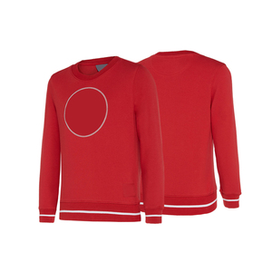 Sweat-shirts pour hommes sur mesure OEM, design tendance, brodés, en coton et polyester de haute qualité, manches longues, écologiques, pour l'automne - Product Image 4