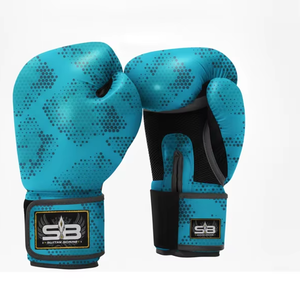 Équipement de boxe de haute qualité - Product Image 1