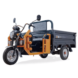 Triciclo Eléctrico de Carrocería Cerrada con Toldo para 4 Pasajeros Adultos, Potencia de 200-250W, 60V - Product Image 4