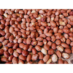 Số lượng lớn đậu phộng khô nguyên liệu bán buôn HạT LạC hữu cơ không biến đổi gen hạt giống Đậu phộng cao oleic 100% tinh khiết Nhà cung cấp xuất khẩu - Product Image 3