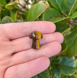 Seta de ojo de Tigre a granel, piedras preciosas, setas, cristal de cuarzo tallado, espécimen Mineral, decoración del hogar, entusiastas del cristal a la venta - Product Image 4