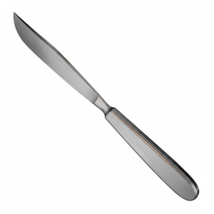 Bisturí de Amputación Langenbeck, Instrumento de Disección de Tejidos de Acero Inoxidable de Grado Médico Premium para Procedimientos Quirúrgicos Mayoristas - Product Image 2