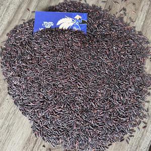 ข้าวเหนียวสีดำเวียดนามแบบพรีเมี่ยมข้าวเหนียวออร์แกนิคสำหรับทำอาหารส่งออกเพื่อสุขภาพแอนนา - Product Image 4