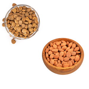 Noyau d'abricot | Rendement élevé en huile pour les marques de produits naturels - Product Image 3