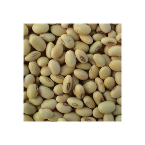 Bolsa de 50kg de germinación y semilla de soja amarilla seca de grado alimenticio soja no Gmo - Product Image 1