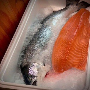 Salmón Fresco Congelado Natural de Primera Calidad al por Mayor de Fábrica, Bajo en Azúcar y Grasas Trans, Cajas de 10 kg, Mejor Precio de Alemania - Product Image 2