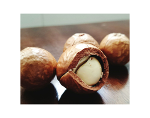 MEJOR TARIFA Suministro del fabricante Calidad Premium Superventas Nueces de Macadamia tostadas agrietadas saludables Bolsa de 300g/500g - Product Image 3