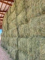 Foin d'alfalfa de qualité supérieure en cubes et granulés pour chevaux, chiens, bovins, porcs et poissons - Qualité alimentaire 25 kg/sac