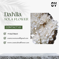 Bunga Dahlia Sola Organik Ramah Lingkungan Buatan Tangan, Laris Manis, Tren Terbaru, Grosir, Dekorasi Rumah untuk Acara Indoor/Outdoor