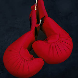 ถุงมือหนัง PU สำหรับฝึกคาราเต้ - Product Image 3