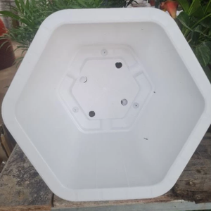 Vente en gros de pots de jardin classiques en plastique hexagonaux PP pour l'extérieur, plantes d'intérieur de qualité 28cm x 22cm, état du sol, fabriqué au Vietnam - Product Image 5