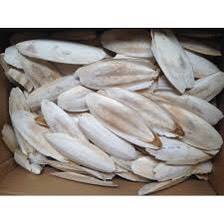 Sepia, sepia | MARISCOS FRESCOS | exportación en Vietnam | Natural, precio barato - Product Image 6