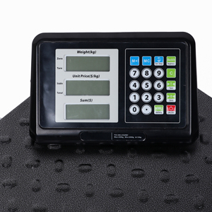 แพลตฟอร์มชั่งน้ำหนัก300x100ก. เครื่องมือทดสอบในโรงพยาบาลราคาไม่แพง - Product Image 4