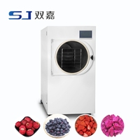 4Kg 6Kg 10Kg 15Kg Fruit Gevriesdroogde Mini Groente Huis Vriesdroger Machine Voedsel Vacuüm Lyofilisator